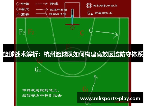 篮球战术解析：杭州篮球队如何构建高效区域防守体系