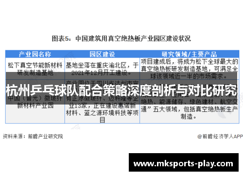 杭州乒乓球队配合策略深度剖析与对比研究